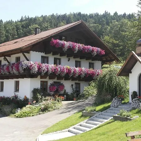 Panoramic View